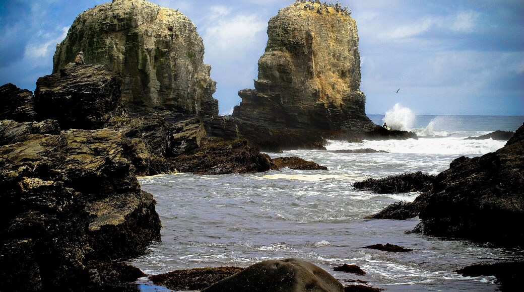 Playa Punta de Lobos