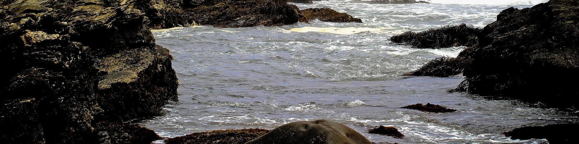 A rocky coastline with two prominent rock formations and waves crashing against them.