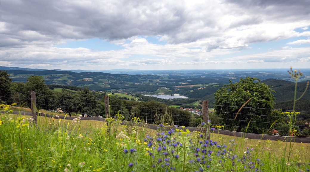 ApfelLand Stubenbergsee