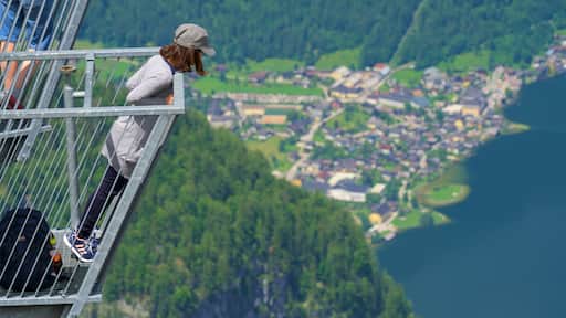 Hallstatt bevat vergezichten en vredige uitzichten en ook een vrouw