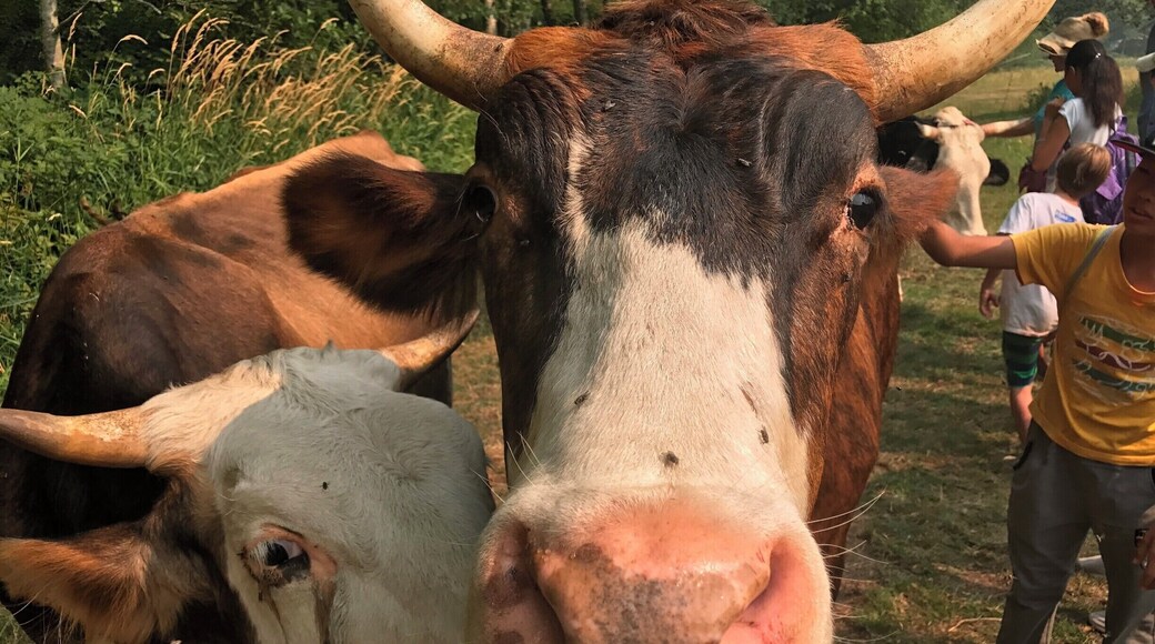 I Think Therefore I Am
- René Descartes
I think therefore I react
I think therefore I follow the demands of heuristic programming
I think therefore I am trapped in who I think I am
I have spent many years idly philosophizing and it has taken me everywhere along a road to nowhere. Don't get me wrong. I like nowhere. It is the only place where I can begin to see who we are. It is a picture which is only beginning to form in my mind. Yes, I realize that the picture will never truly emerge but it is the shadows that define us which I am interested in. From nowhere, I can see those quite clearly.