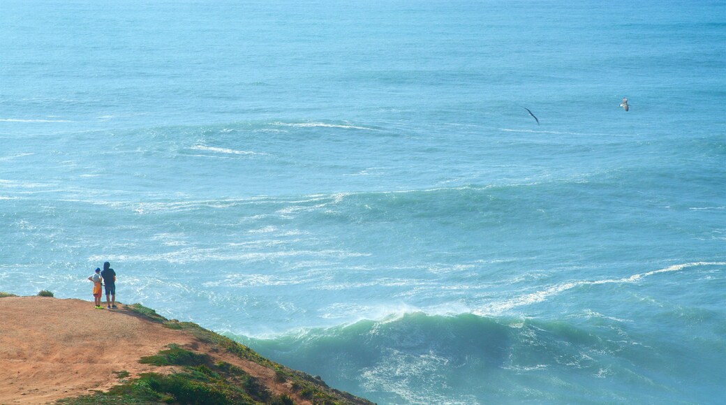 Norte Beach which includes general coastal views as well as a couple