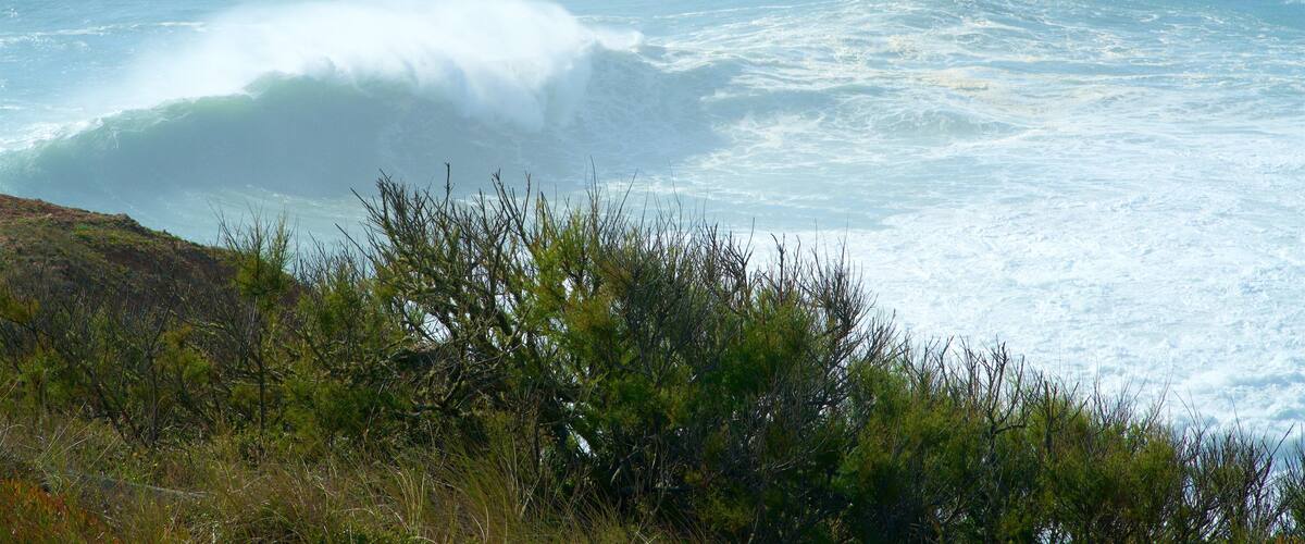 Norte Beach trong đó bao gồm cảnh bờ biển và những ngọn sóng