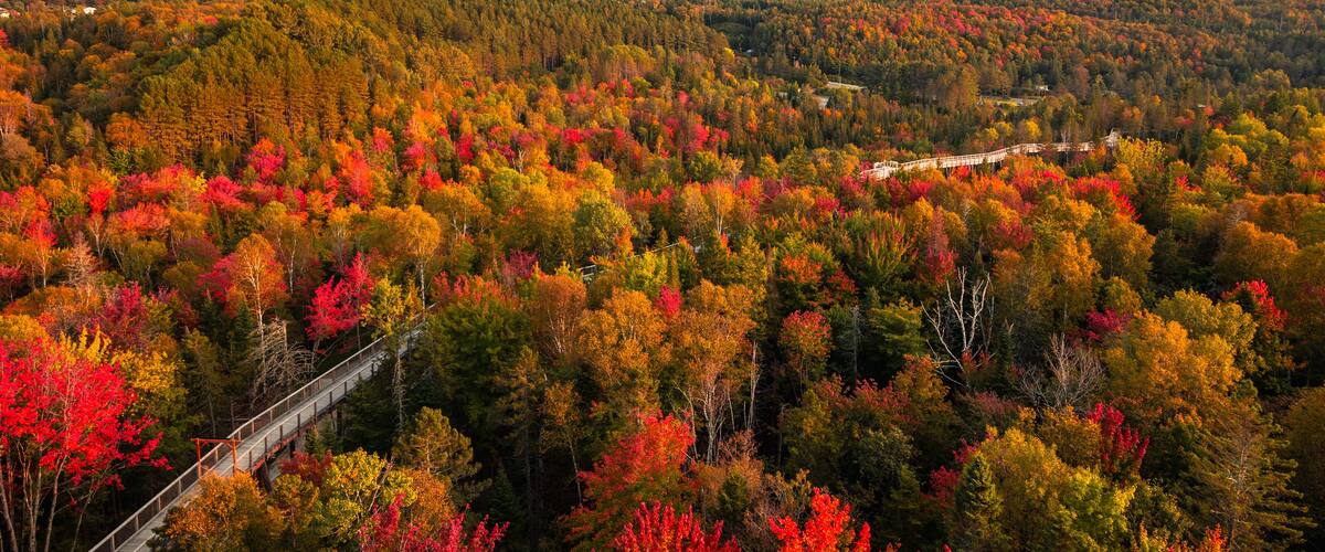 Aerial view of winding river in Laurentian mountains, Quebec, Canada during the fall foliage