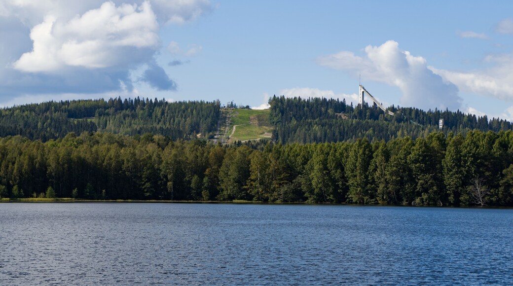 里希瓦里滑雪場