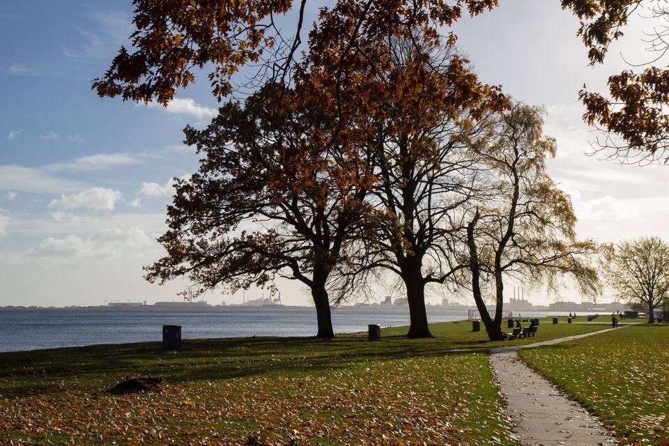 Een park met bomen, een pad en een waterpartij.