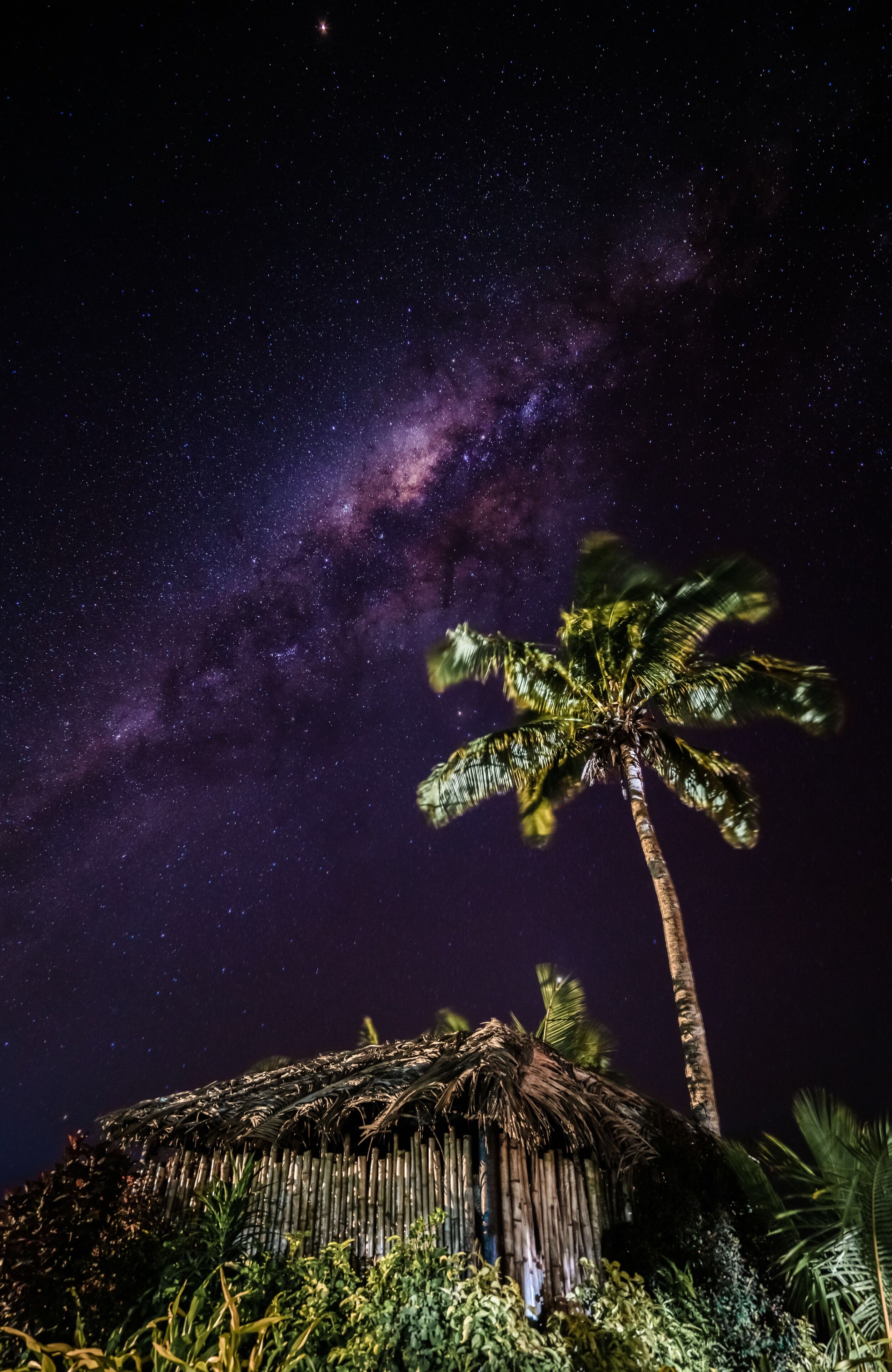 A night sky with stars and the Milky Way, a palm tree, and a thatched hut.