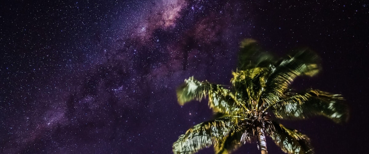 A night sky with stars and the Milky Way, a palm tree, and a thatched hut.