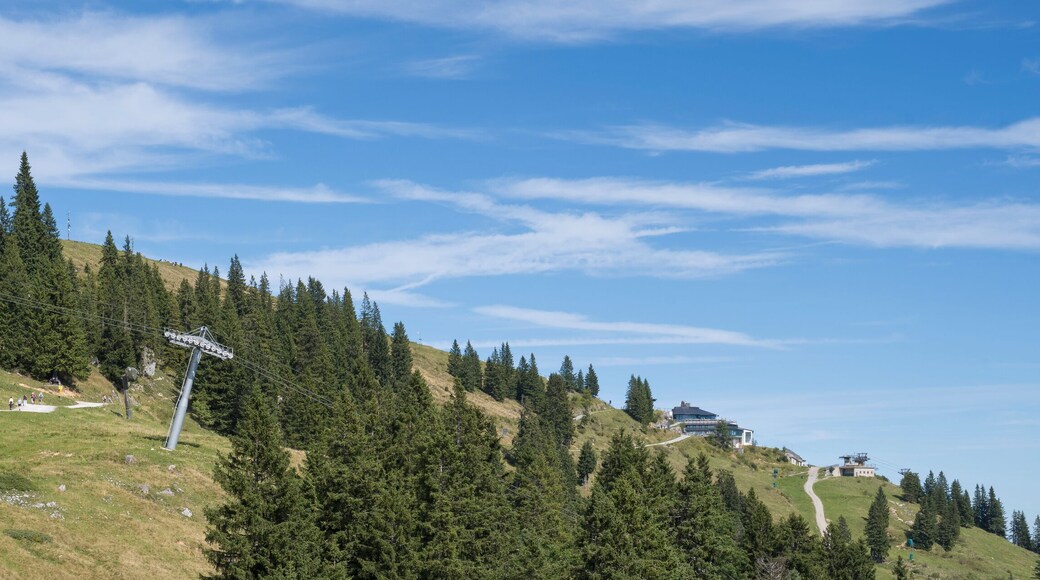 Wanderweg am Brauneck, Bayerische Voralpen, Isarwinkel, Lenggries, Oberbayern, Bayern, Deutschland, Europa