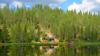 Un lago sereno rodeado de un bosque denso, con dos cabañas rojas reflejándose en la superficie del agua.