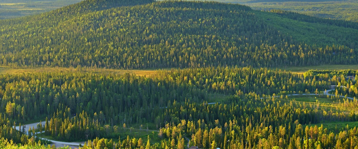 A dense forested mountain with a winding road at its base.