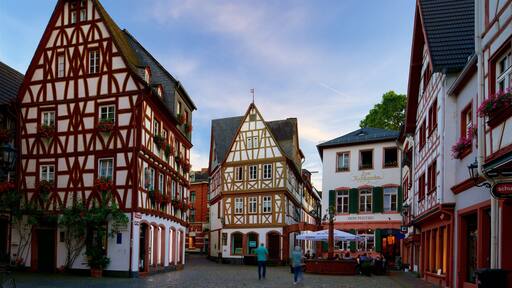 Rhenish Hesse which includes a sunset and heritage elements