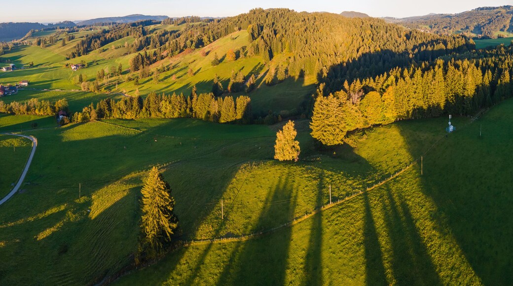 Khu nghỉ dưỡng Trượt tuyết Westallgaeu