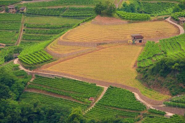 Trentin mettant en vedette ferme