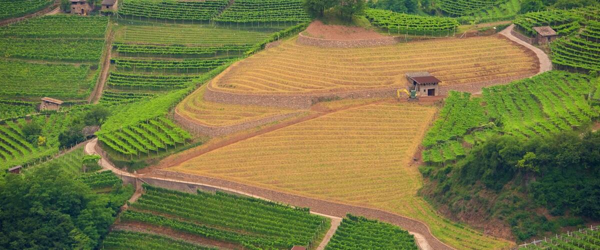 An aerial view of terraced vineyards with stone walls and small buildings.
