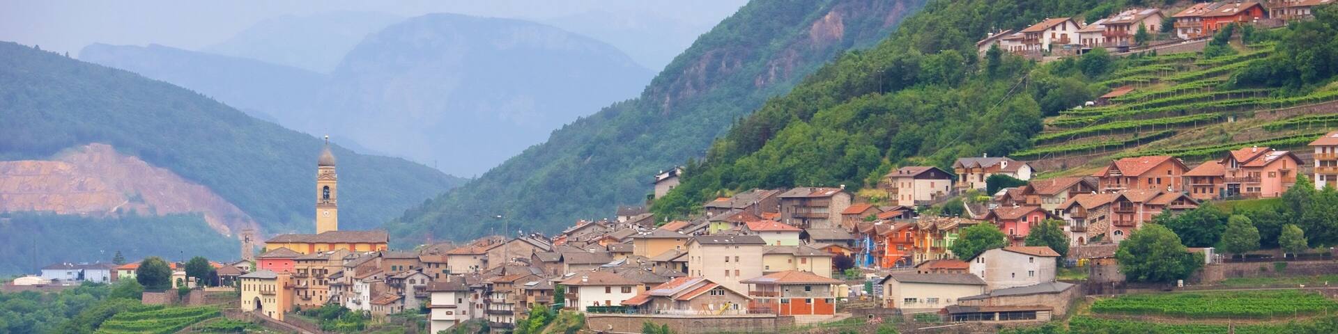 Trentino-Alto Adige featuring a small town or village and farmland
