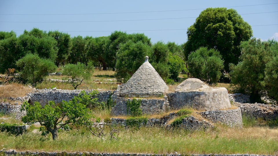 Ancient stone ruins with a conical structure surrounded by olive trees and dry grass.