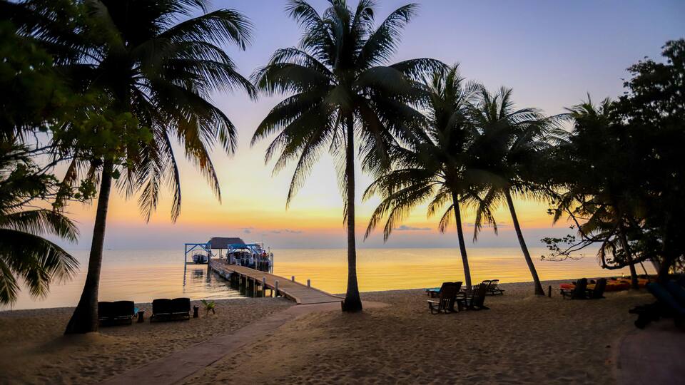 A beach with palm trees, a wooden pier, and lounge chairs.