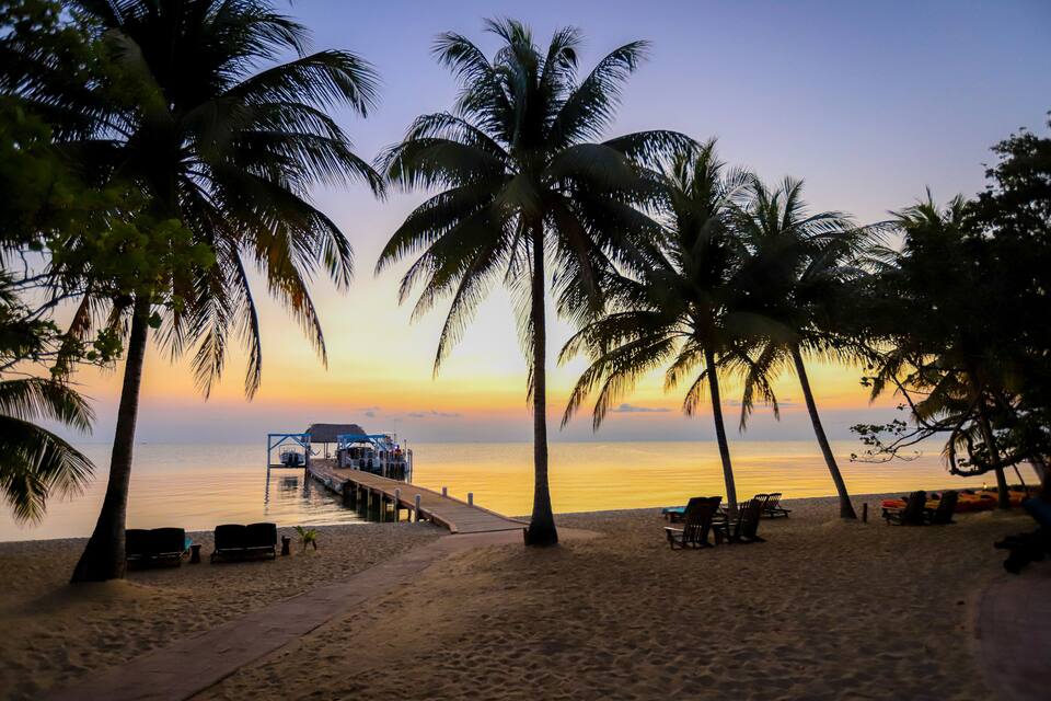 A beach with palm trees, a wooden pier, and lounge chairs.