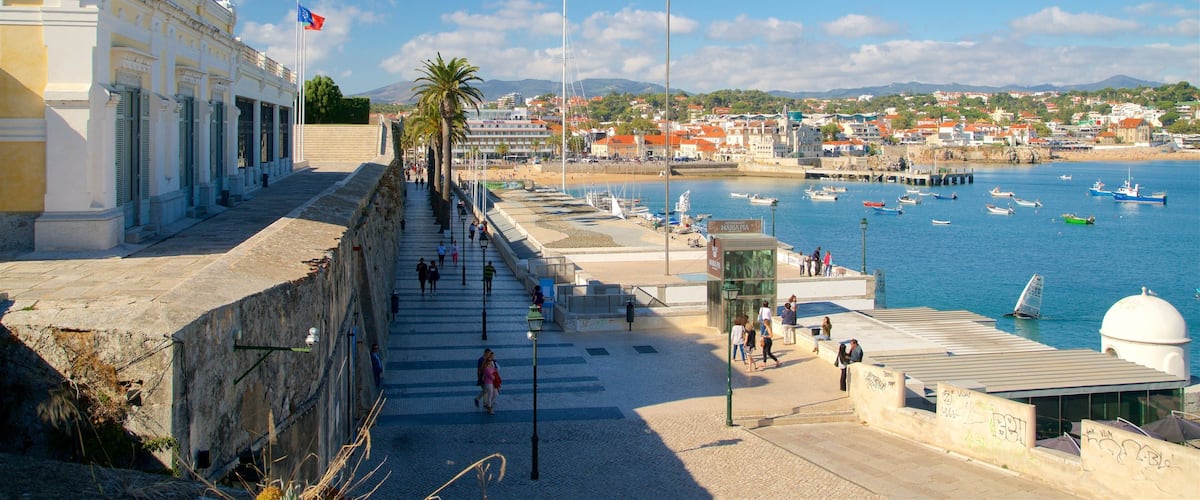 A coastal promenade with a stone wall, palm trees, and a view of boats in the water.