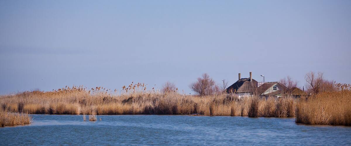 A house by a calm river surrounded by tall, dry reeds.