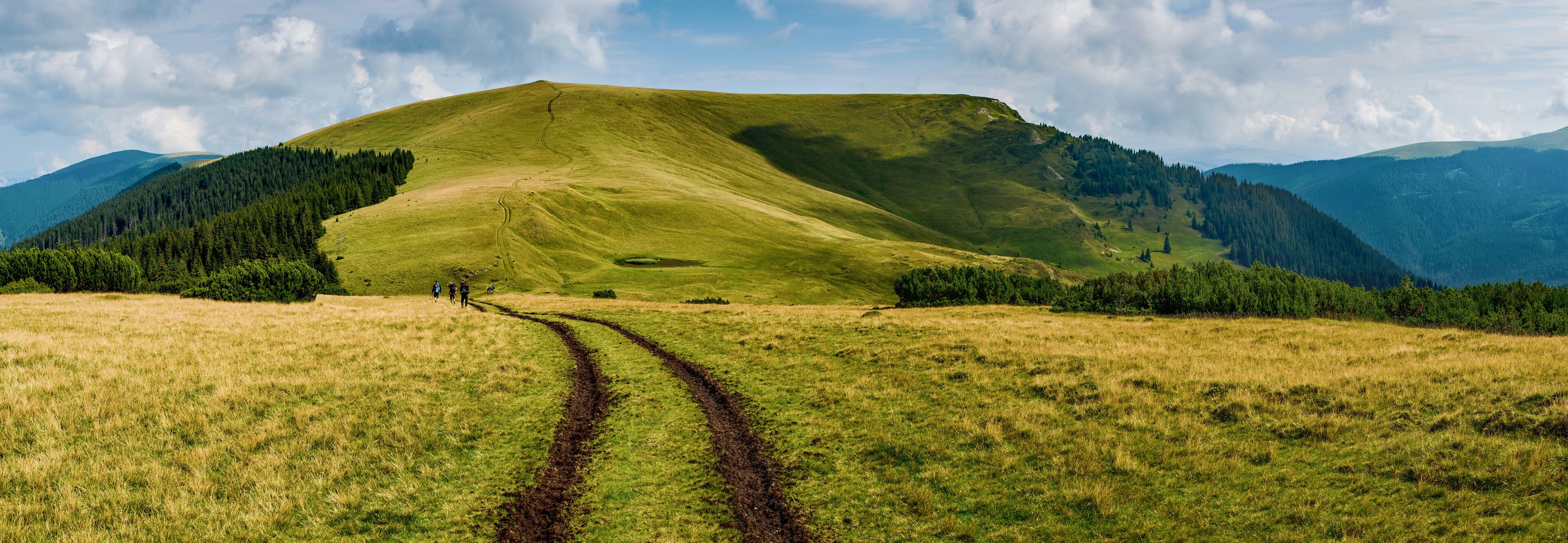 A grassy field with a dirt path leading to a hill.