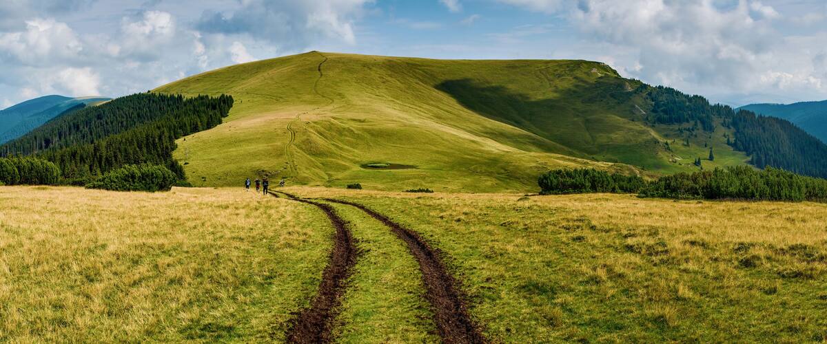 A grassy field with a dirt path leading to a hill.