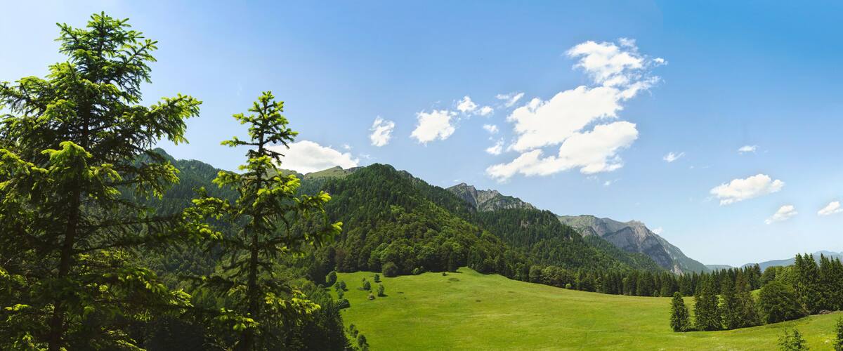 A lush green valley with a prominent mountain range in the background.