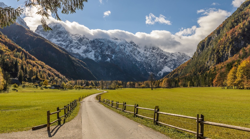 Une route de campagne bordée de champs verdoyants et de montagnes enneigées, sous un ciel dégagé.