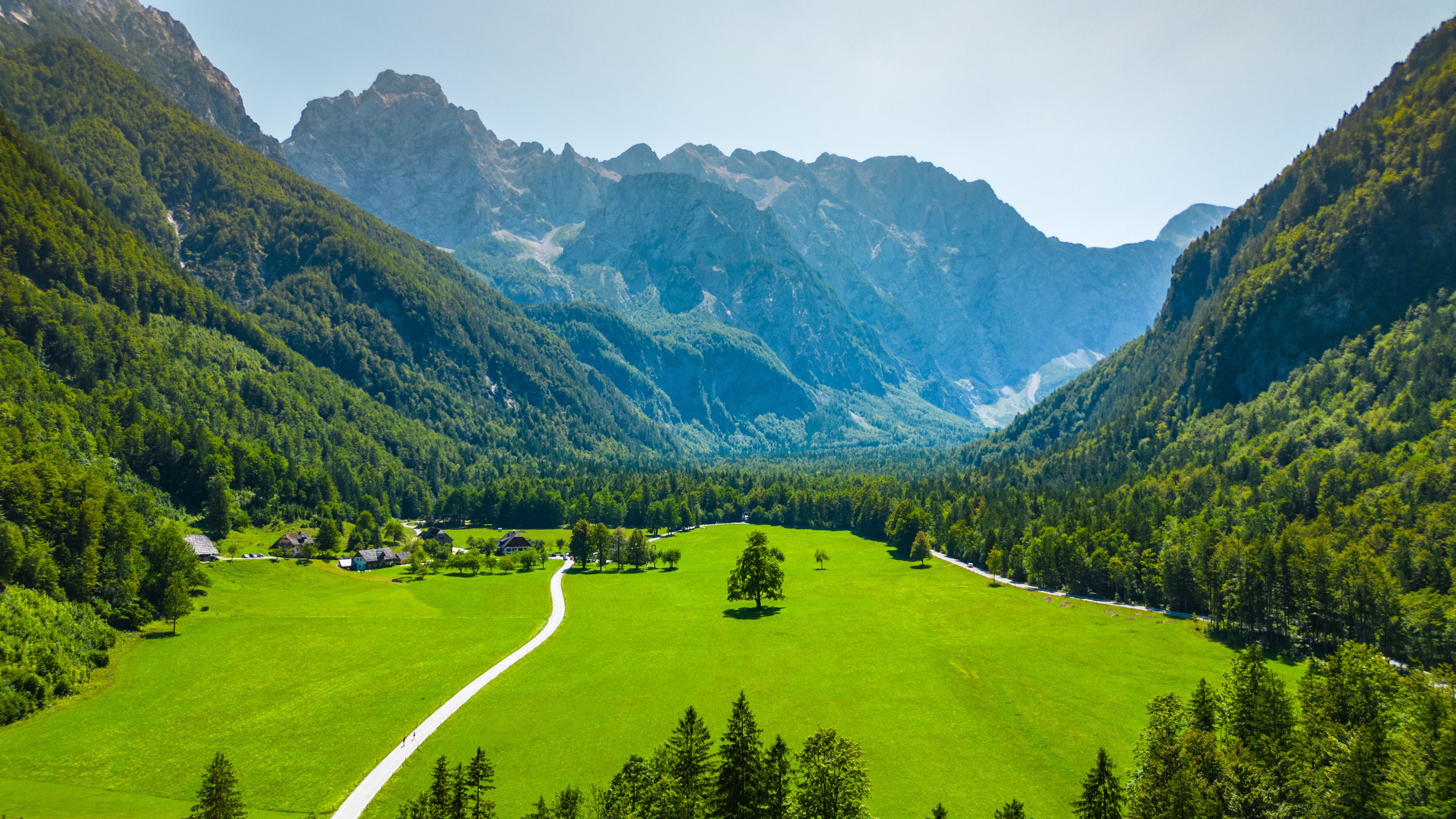 Une vallée traversée par une route sinueuse, entourée de forêts denses et de montagnes imposantes.