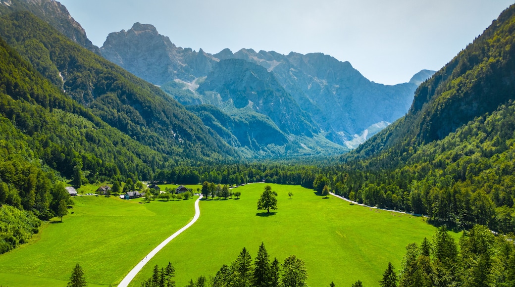 Une vallée traversée par une route sinueuse, entourée de forêts denses et de montagnes imposantes.