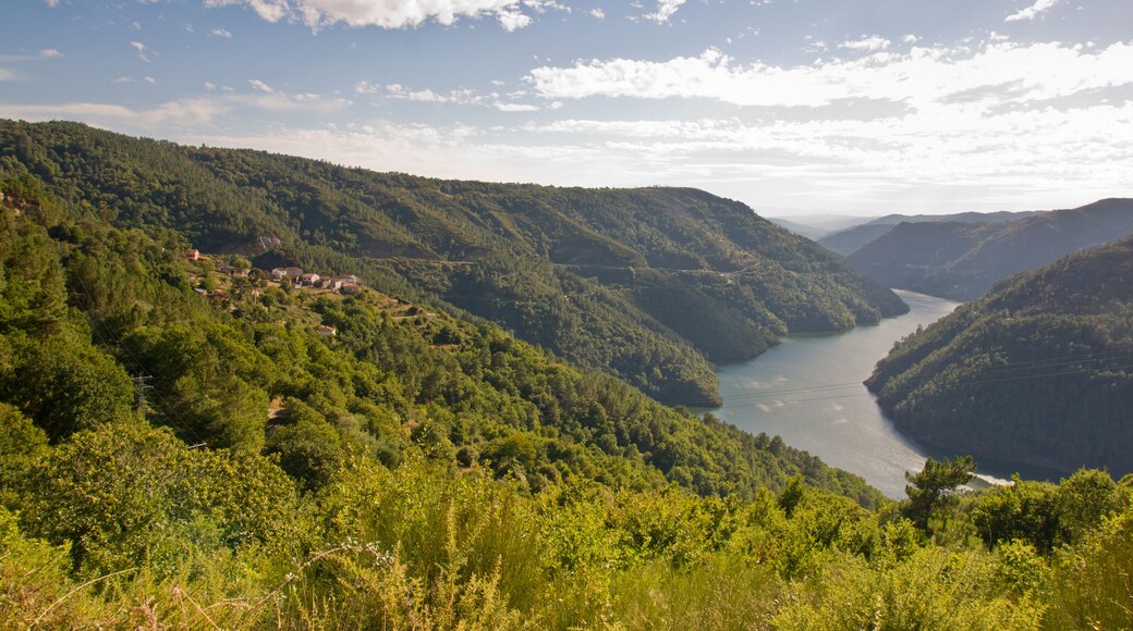 Ribeira Sacra