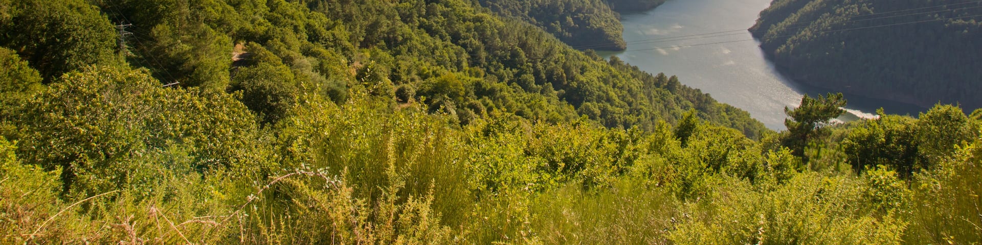 Sil canyon, Ribeira Sacra, Ourense, Galicia, Spain