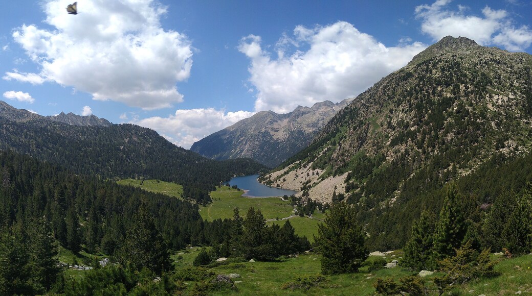 ์คํคํ์ผ๋ฅด์ค ์์คํฌํธ ์คํค