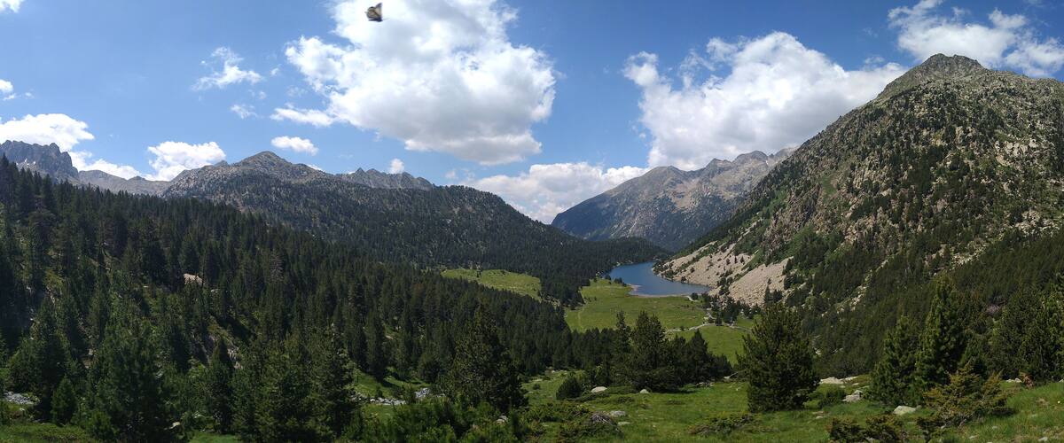 A mountainous landscape with a lake surrounded by dense forests and rocky peaks.