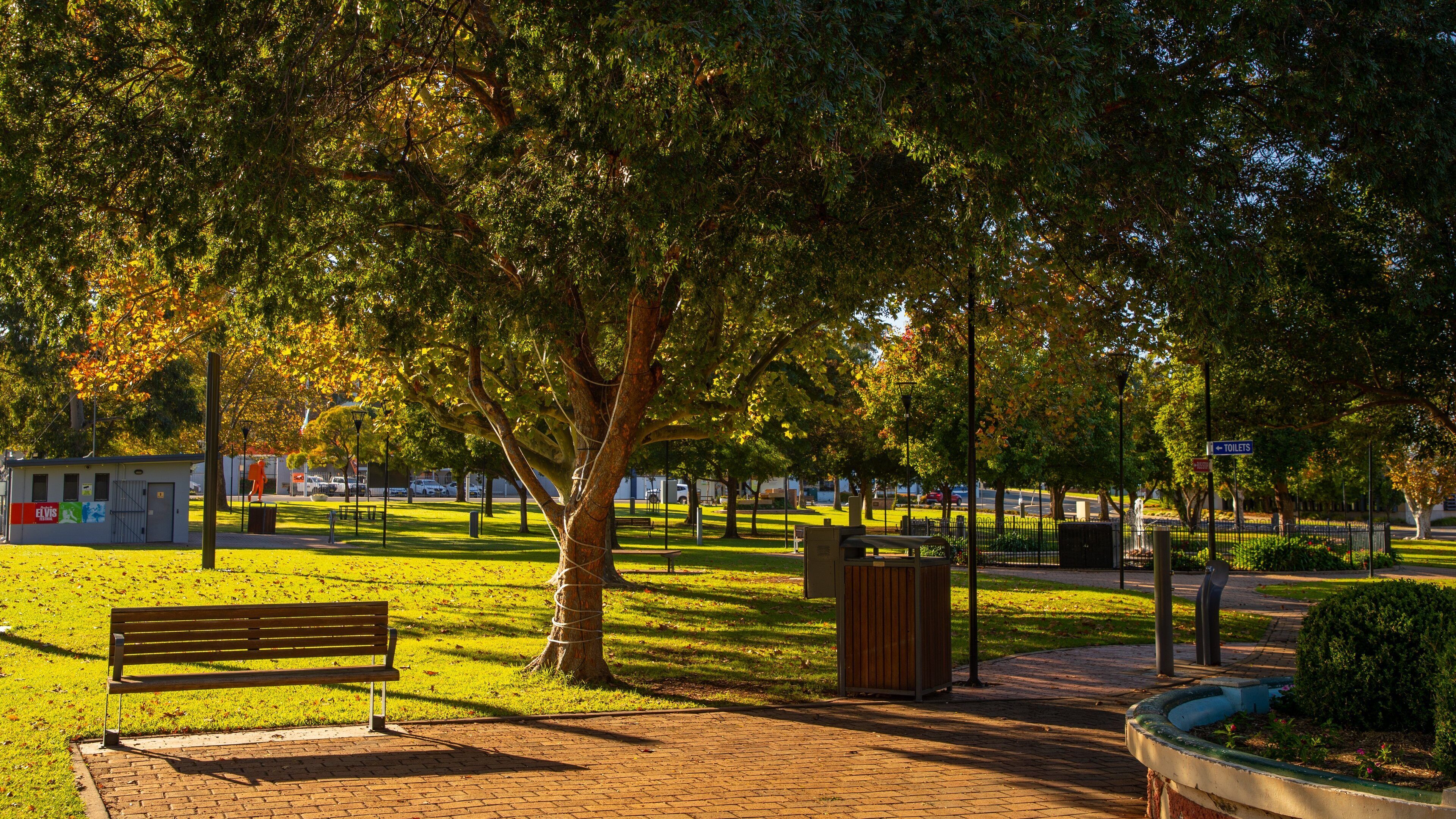 Cooke Park showing a garden