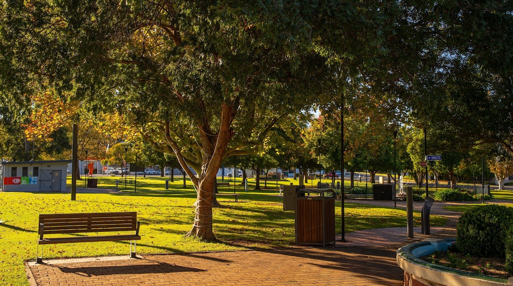 Cooke Park showing a garden