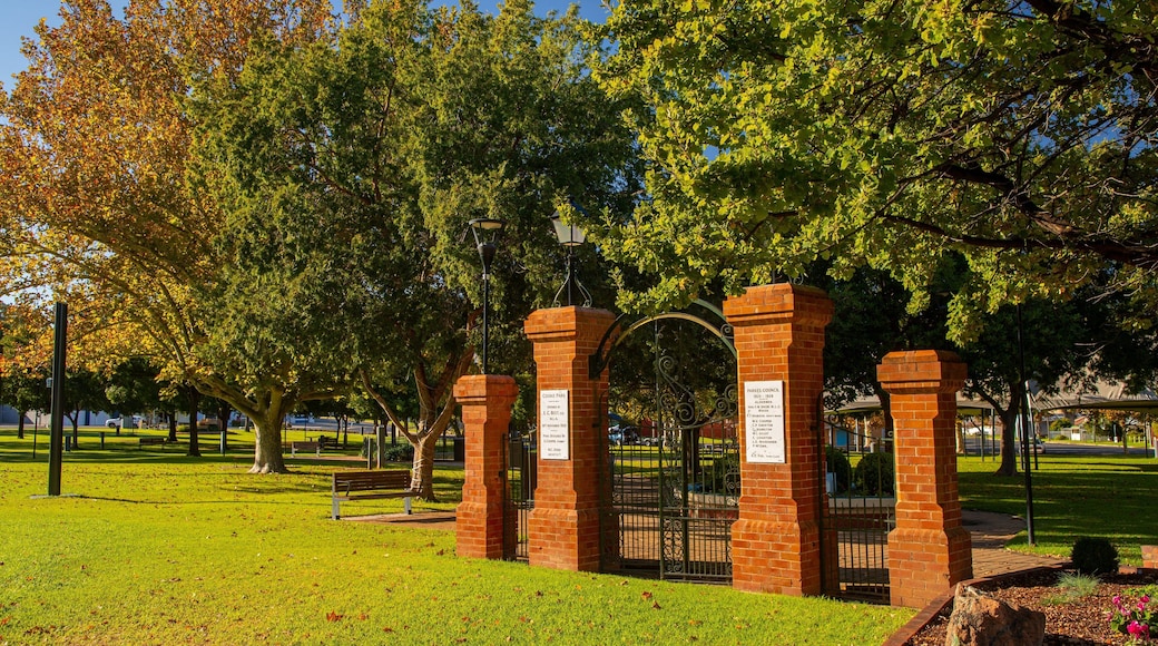 Cooke Park showing a park