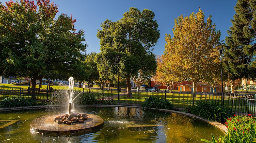 Cooke Park featuring a garden and a fountain