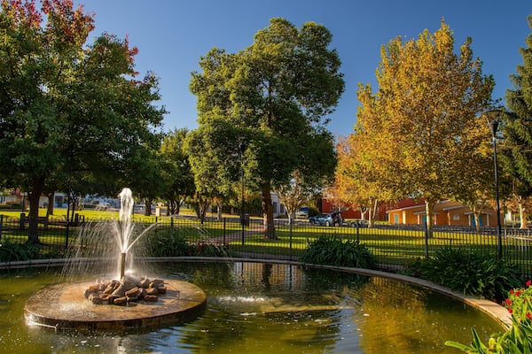 Cooke Park featuring a garden and a fountain