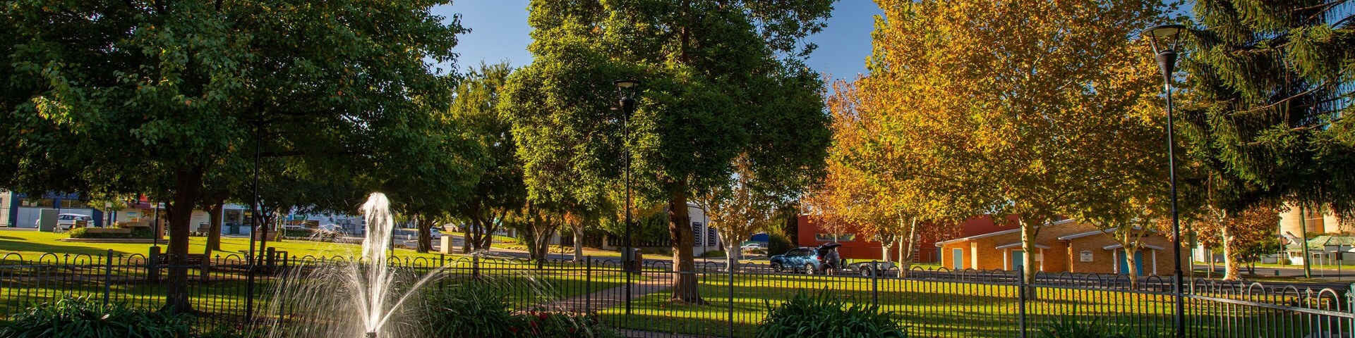 Cooke Park featuring a garden and a fountain