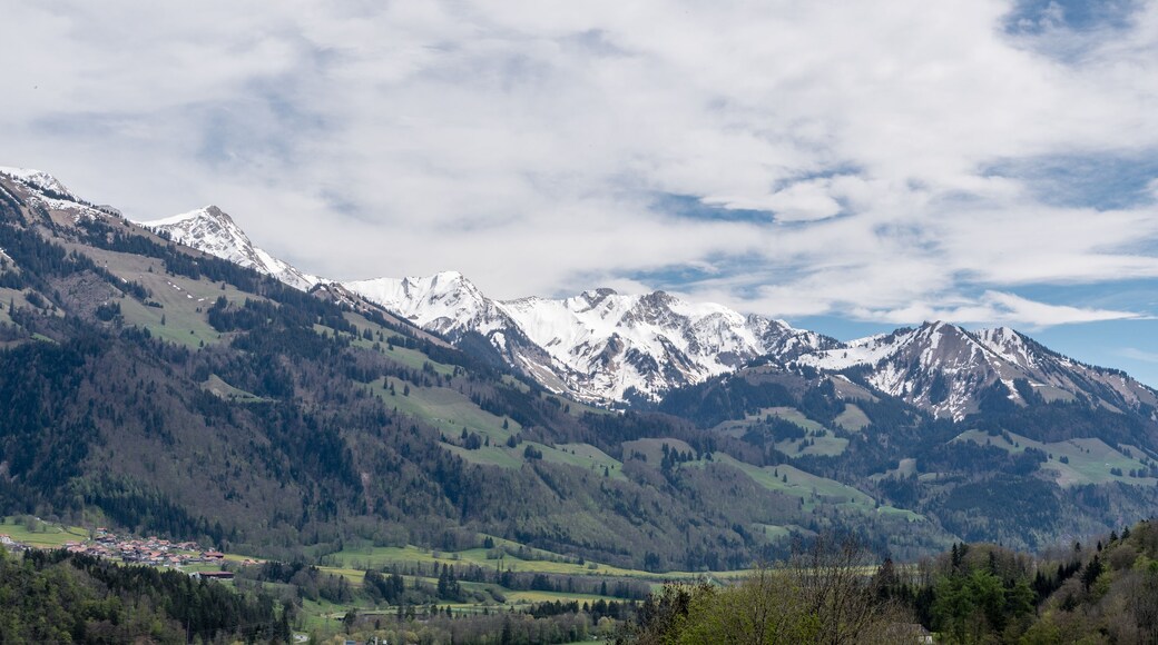 Bezirk Pays-d'Enhaut