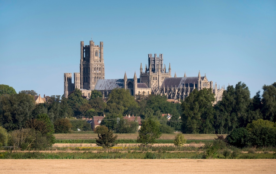 Una extensa catedral gótica con dos torres gemelas y una arquitectura detallada, rodeada de campos y árboles.