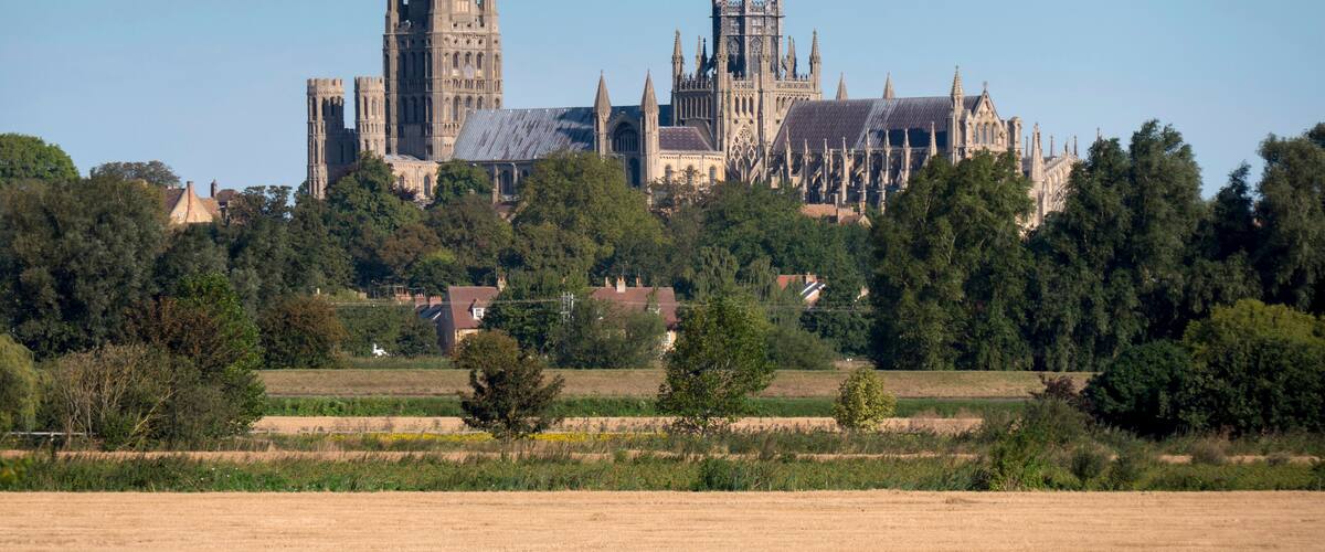 A large Gothic cathedral with twin towers and intricate architecture, surrounded by fields and trees.