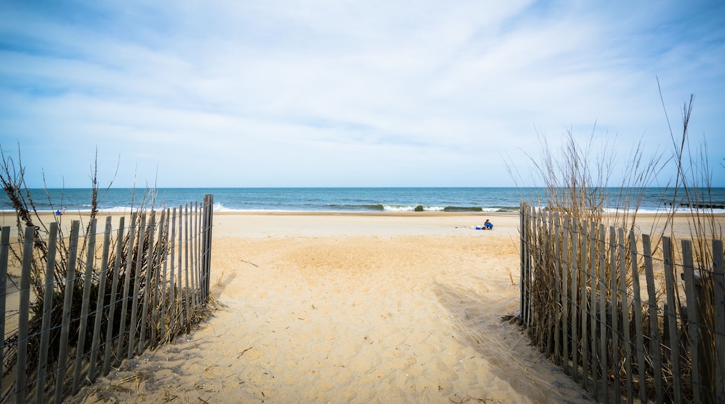 Strände von Delaware