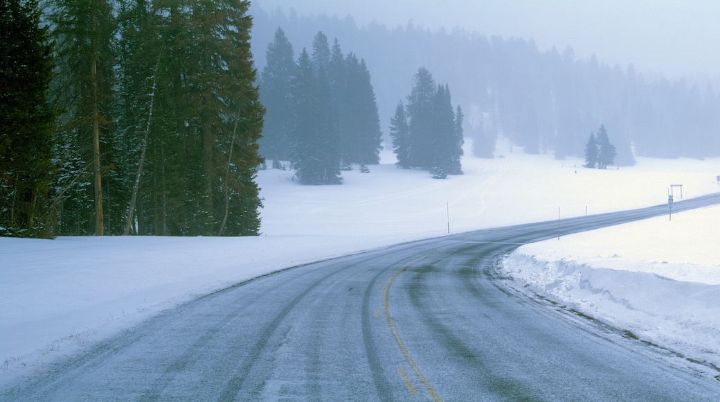 A Snowy Route 14, Near Cedar Breaks National Park, Utah