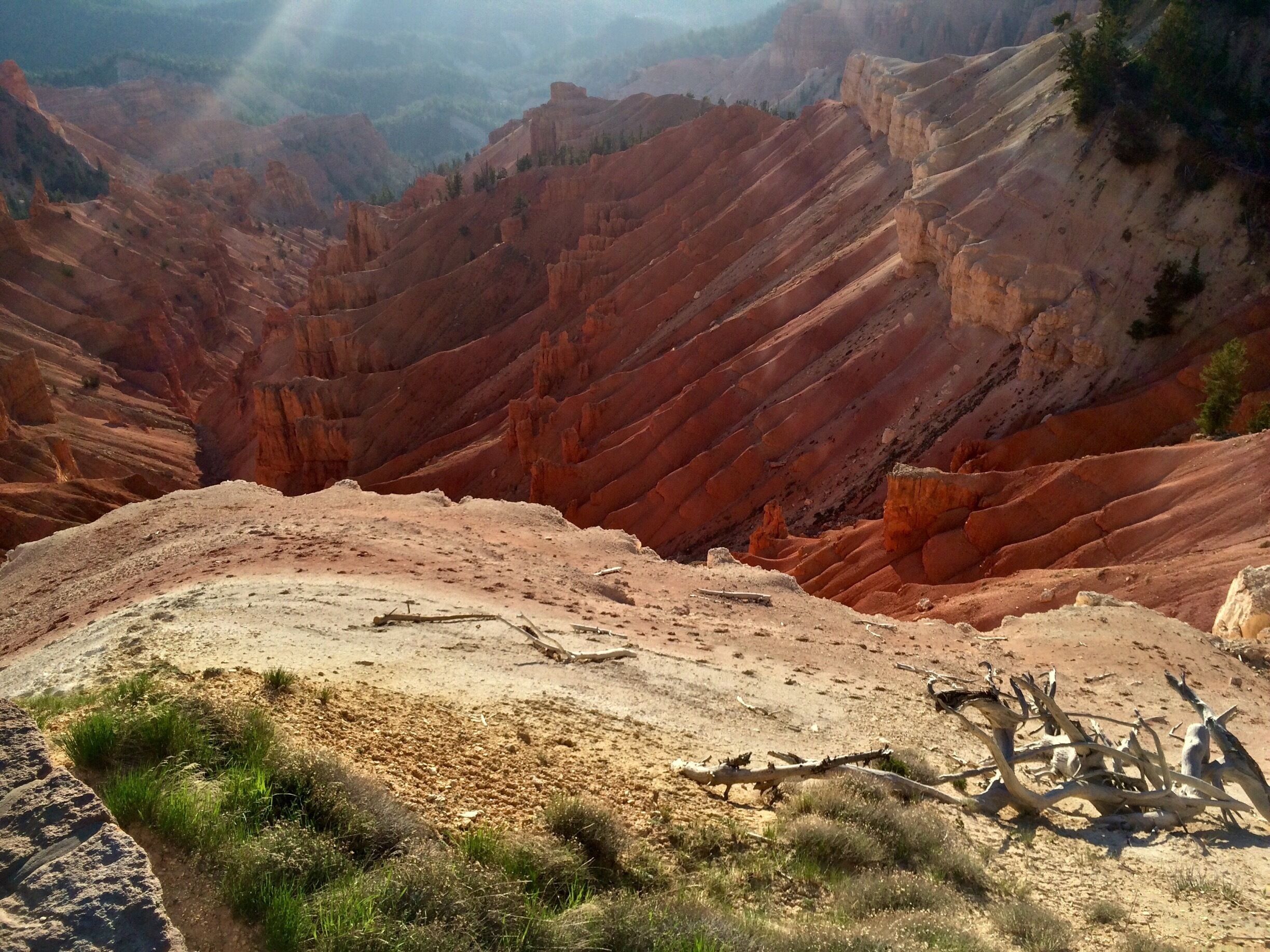 Peering down into the  "amphitheater " from Sunrise Point. 