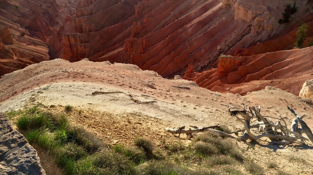 Peering down into the "amphitheater " from Sunrise Point.