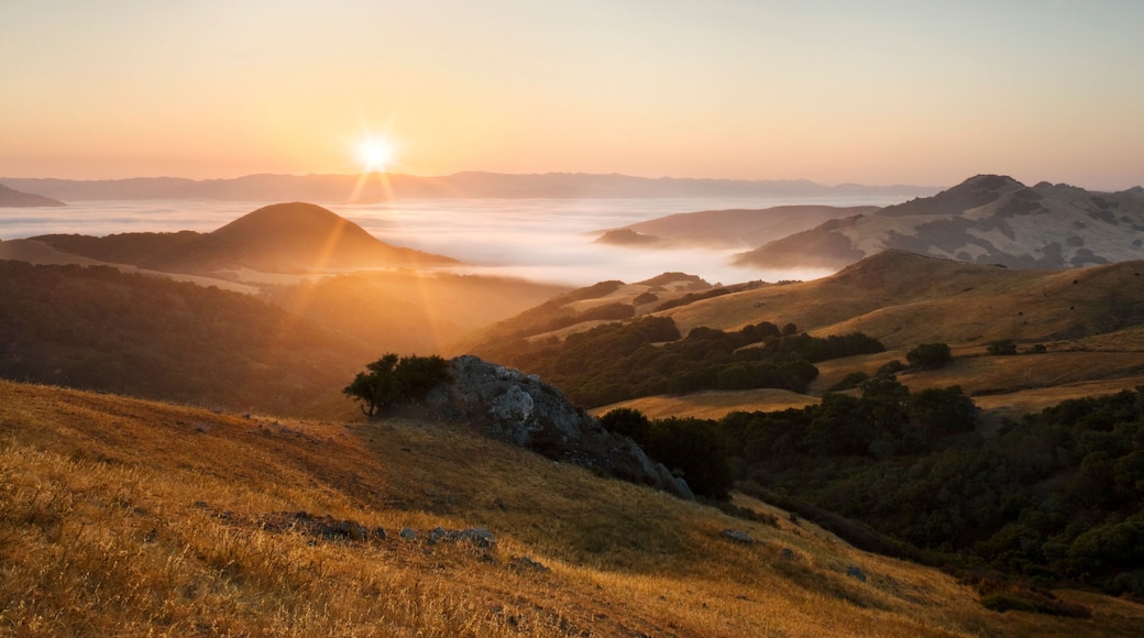 Paso Robles Wine Country
