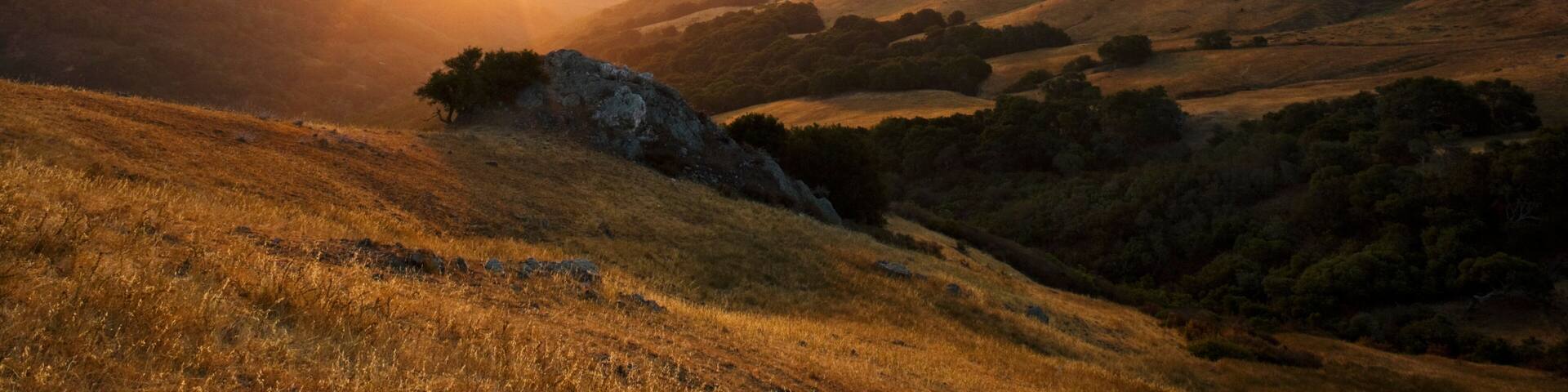 Rolling hills, a sunrise, and a valley with mist.
